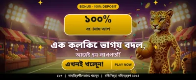 সেরা ক্যাসিনো গেমের অভিজ্ঞতা